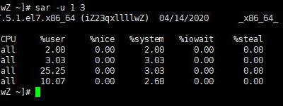 sar命令使用详解